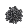Kamień OTOCZAK 2-3 cm 20 kg polerowany    czarny