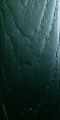 green-6005.jpg